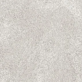 Ash 2