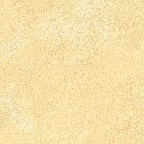 Salt 8