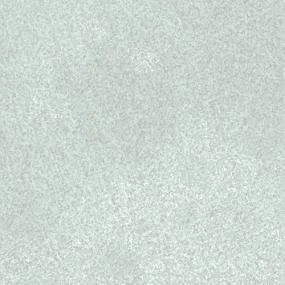 Frost