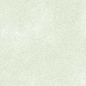 Ivory 4